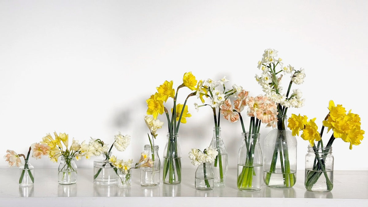 Spring in bloom