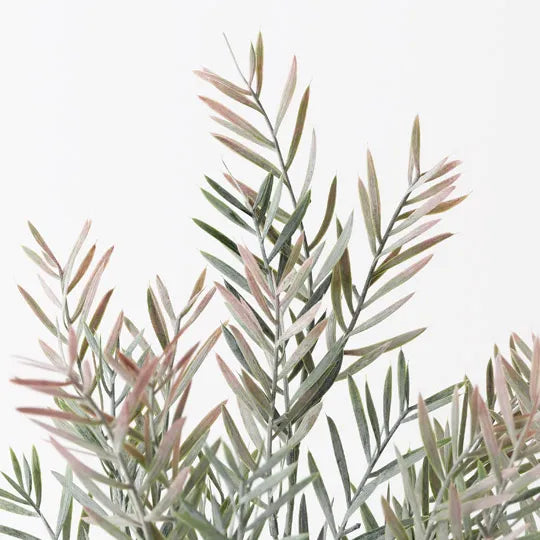 Floral Interiors | Acacia leaf in pot | grey pink