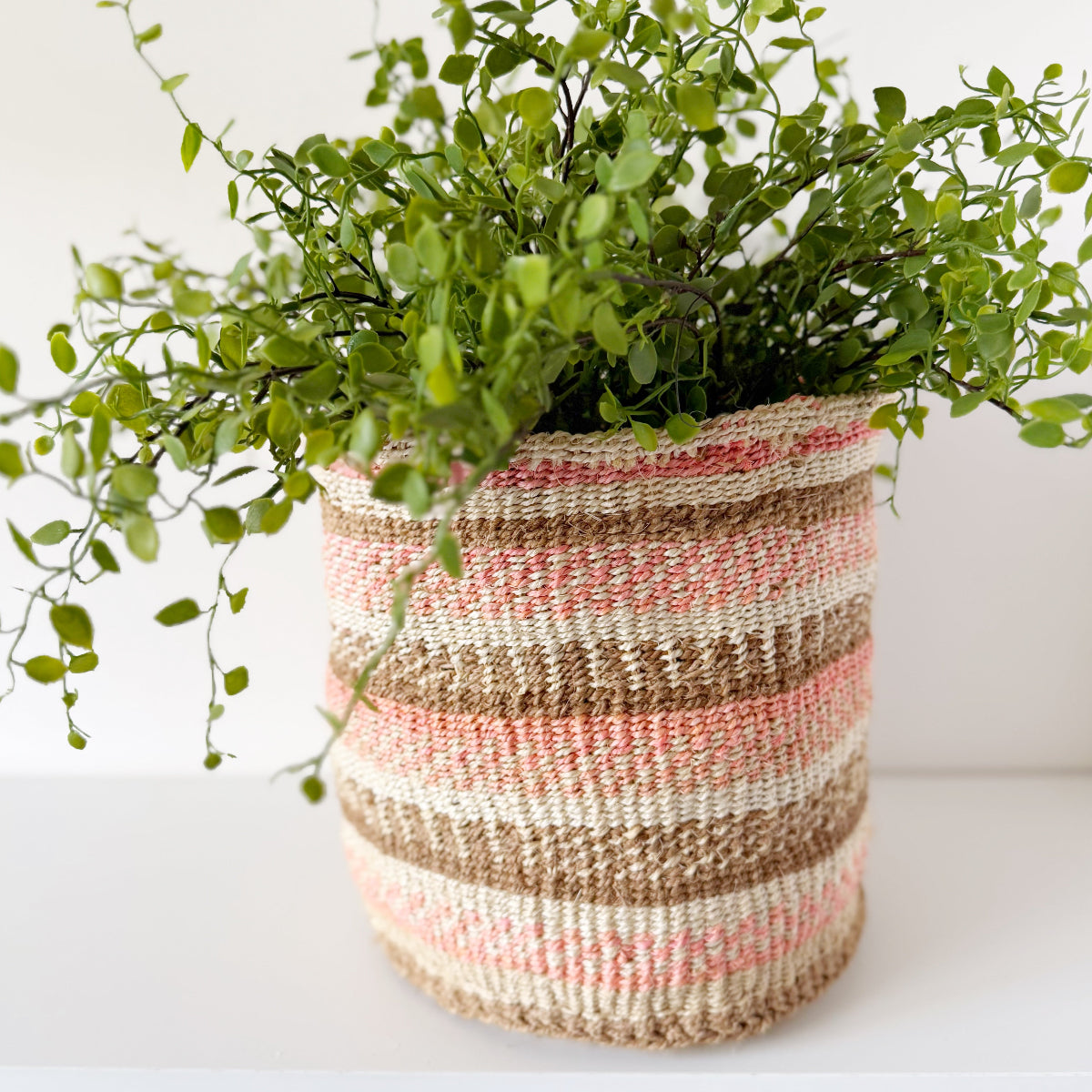mondocherry - African fine weave basket with plant