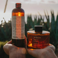 Etikette | eco reed diffuser refill | Wilpena cactus flower | 250ml - holding