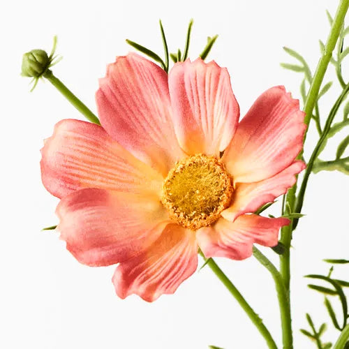 Floral Interiors | cosmos spray | orange