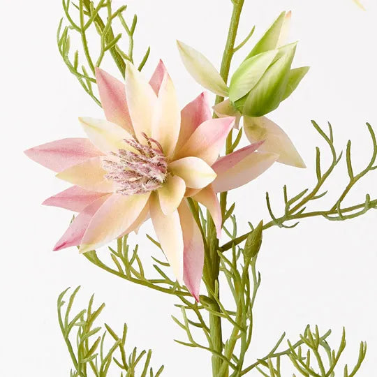 Floral Interiors | blushing bride spray | pink cream