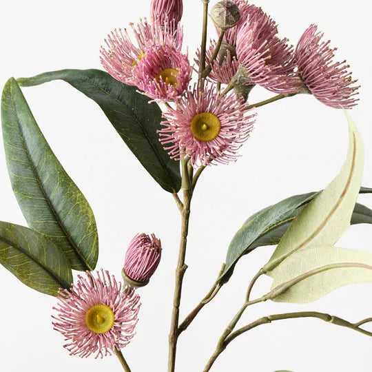 Floral Interiors | eucalyptus flowering spray | light pink