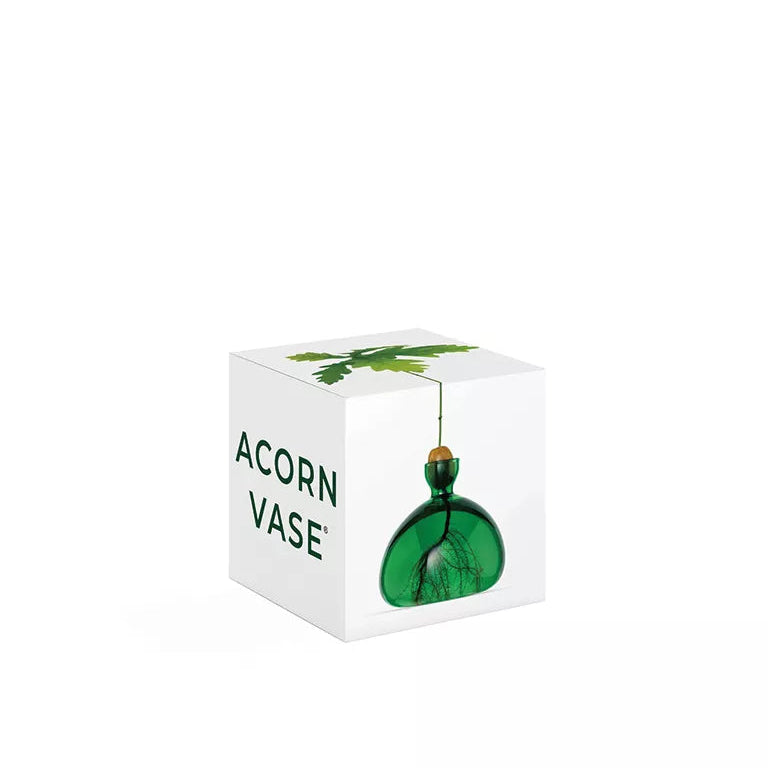 mondocherry - Ilex Studio | Acorn Vase | Emerald Green - box