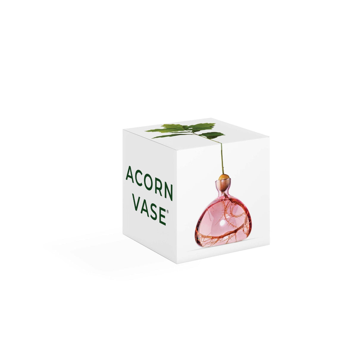 mondocherry - Ilex Studio | Acorn Vase | Rose Pink - box