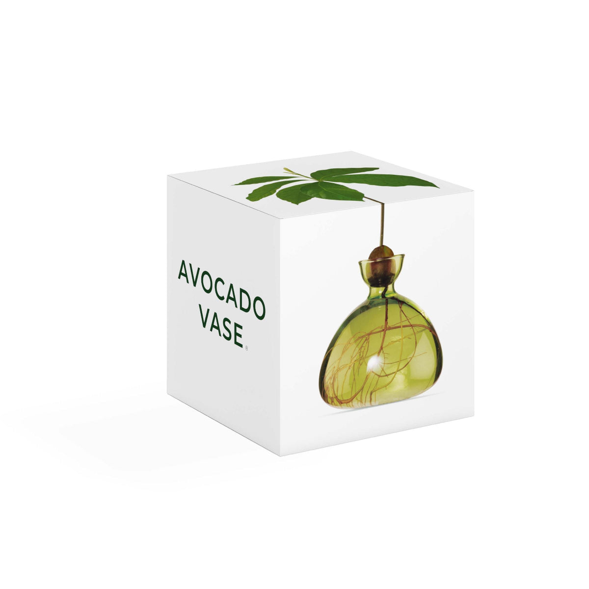 mondocherry - Ilex Studio | Avocado Vase | Grass Green - box
