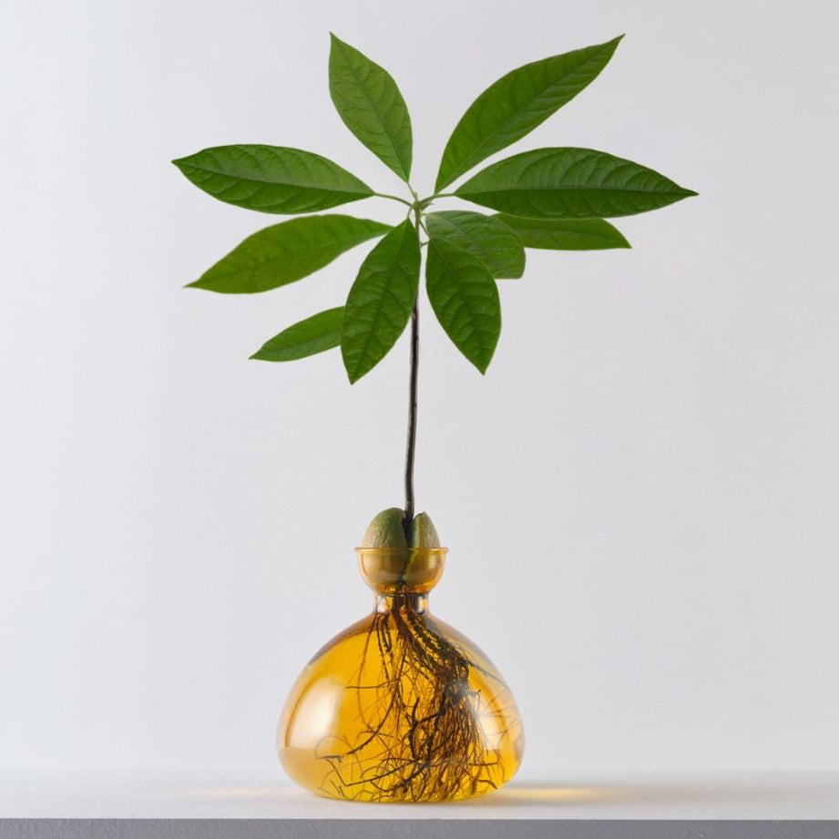 mondocherry - Ilex Studio | Avocado Vase | Mellow Yellow - display
