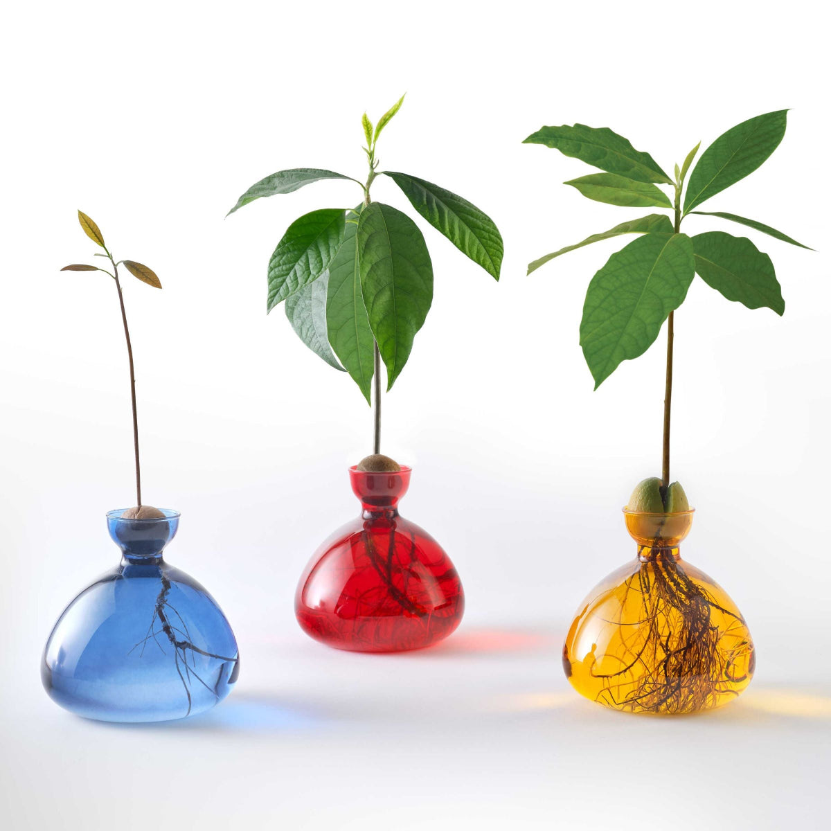 mondocherry - Ilex Studio | Avocado Vase | Mellow Yellow - trio