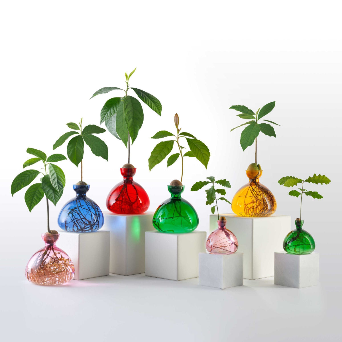mondocherry - Ilex Studio | Avocado Vase | Emerald Green - collection