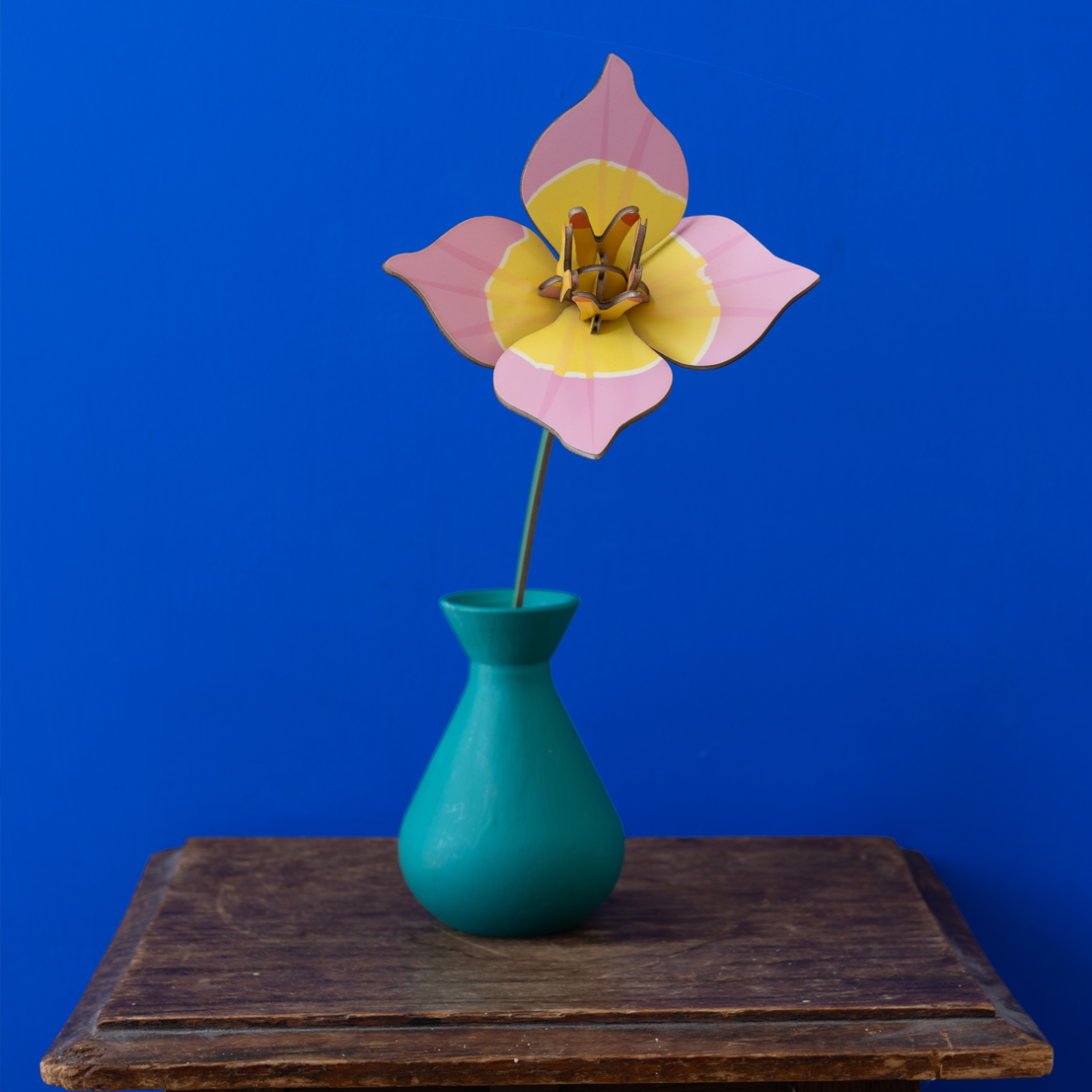 mondocherry - Studio Roof | everlasting flowers | blushing tulip - vase
