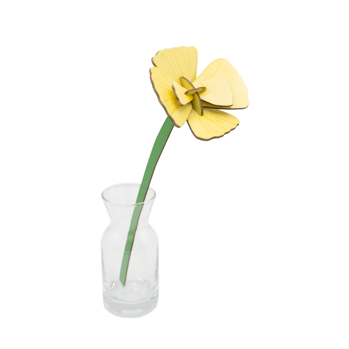 mondocherry - Studio Roof | everlasting flowers | golden poppy