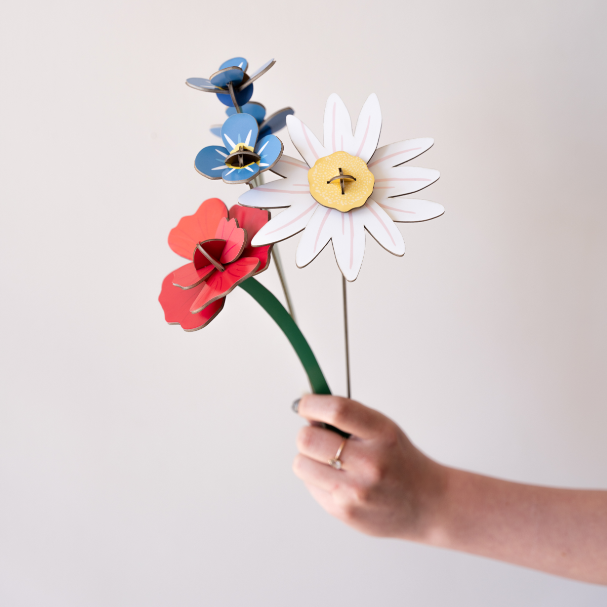 mondocherry - Studio Roof | everlasting flowers | meadow daisy - bouquet