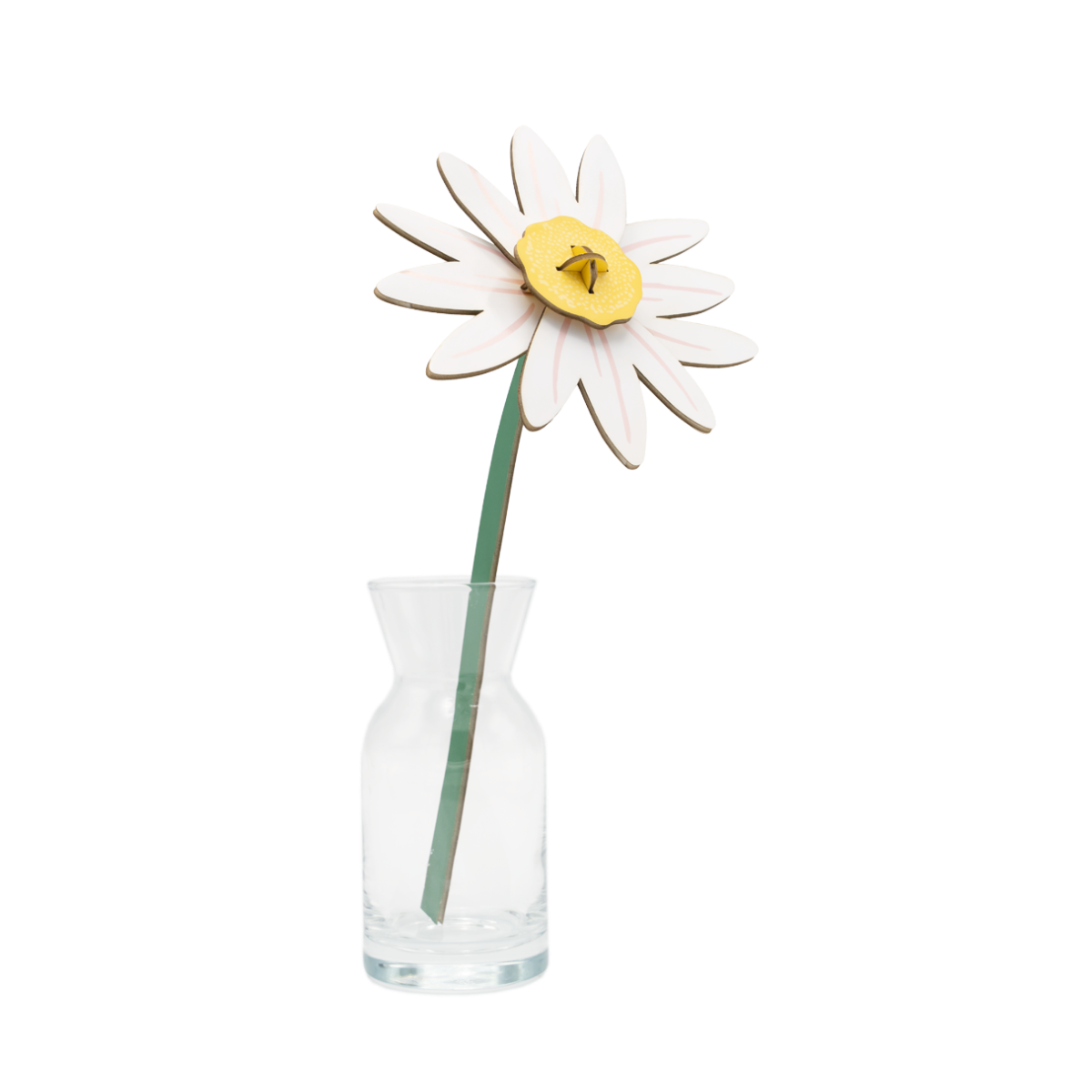 mondocherry - Studio Roof | everlasting flowers | meadow daisy