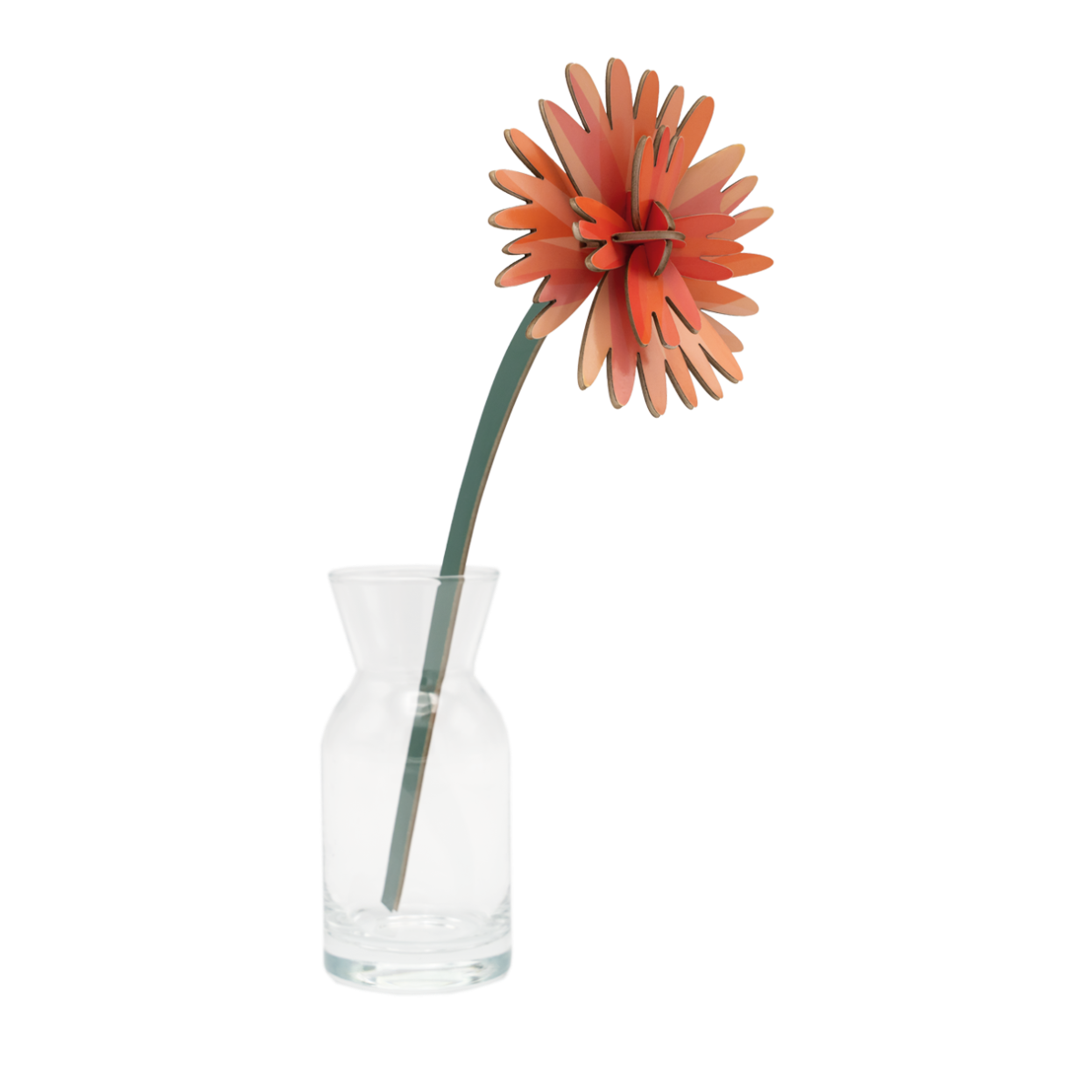mondocherry - Studio Roof | everlasting flowers | orange dahlia