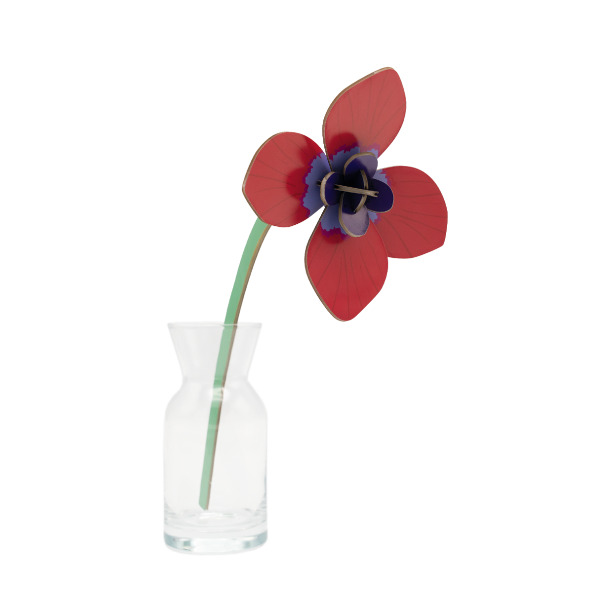 mondocherry - Studio Roof | everlasting flowers | red anenome