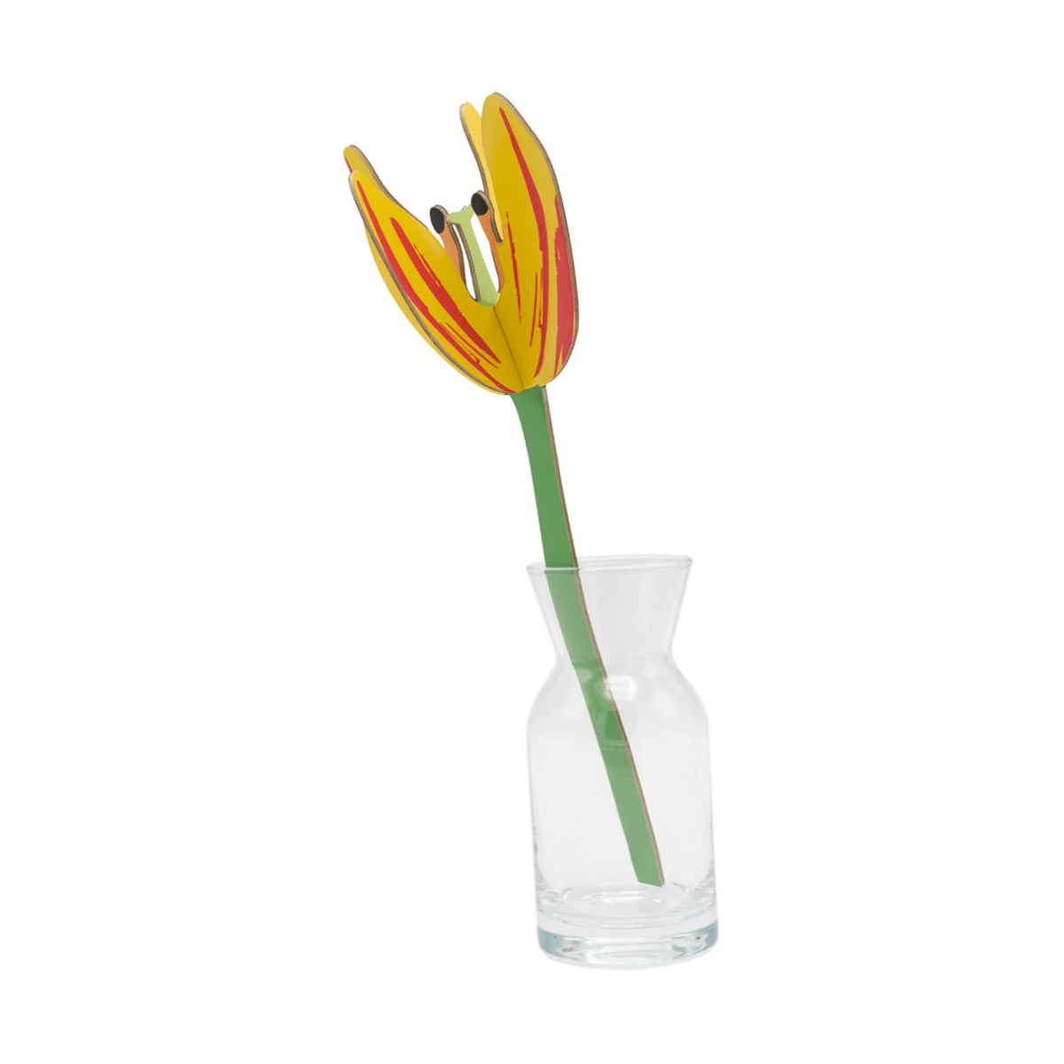 mondocherry - Studio Roof | everlasting flowers | sunset tulip