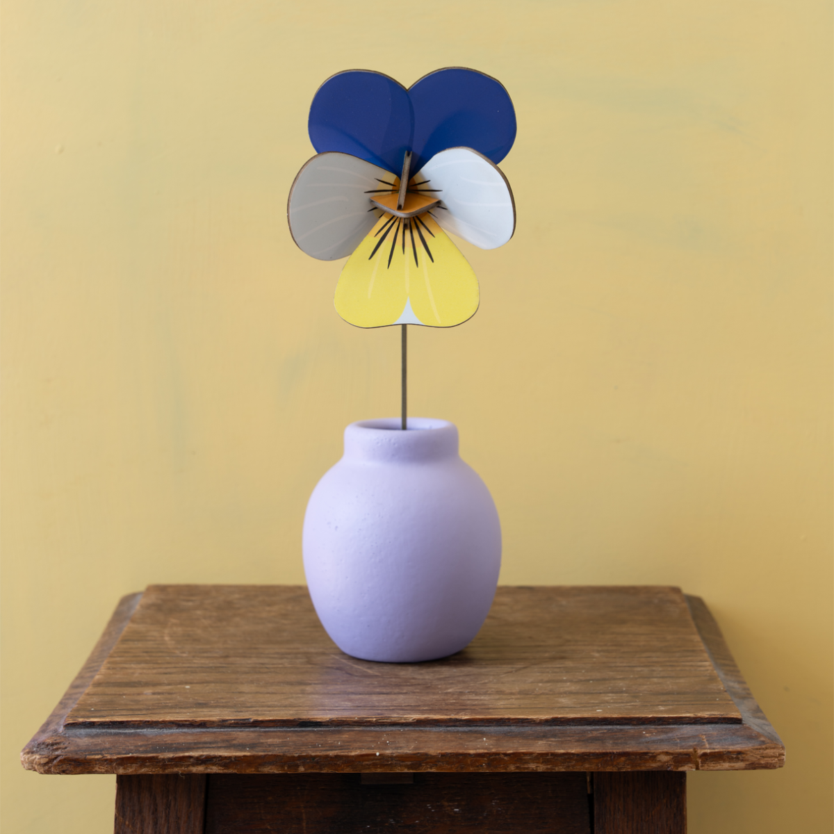 mondocherry - Studio Roof | everlasting flowers | wild pansy - display