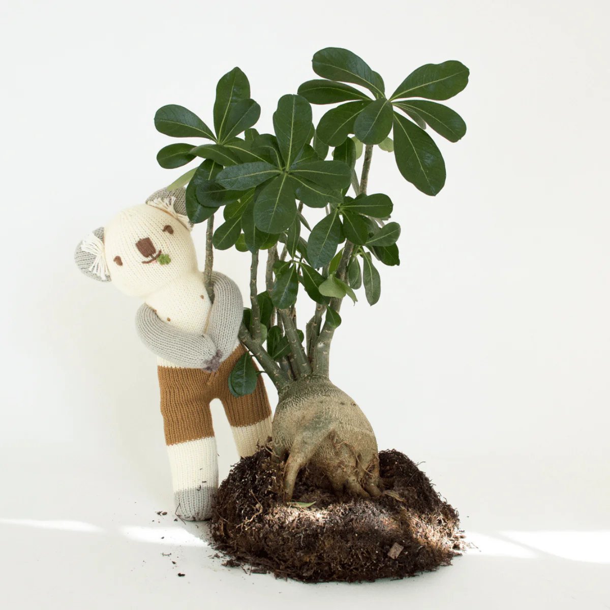 mondocherry - Blabla | "Koa the koala" kids cotton doll - tree