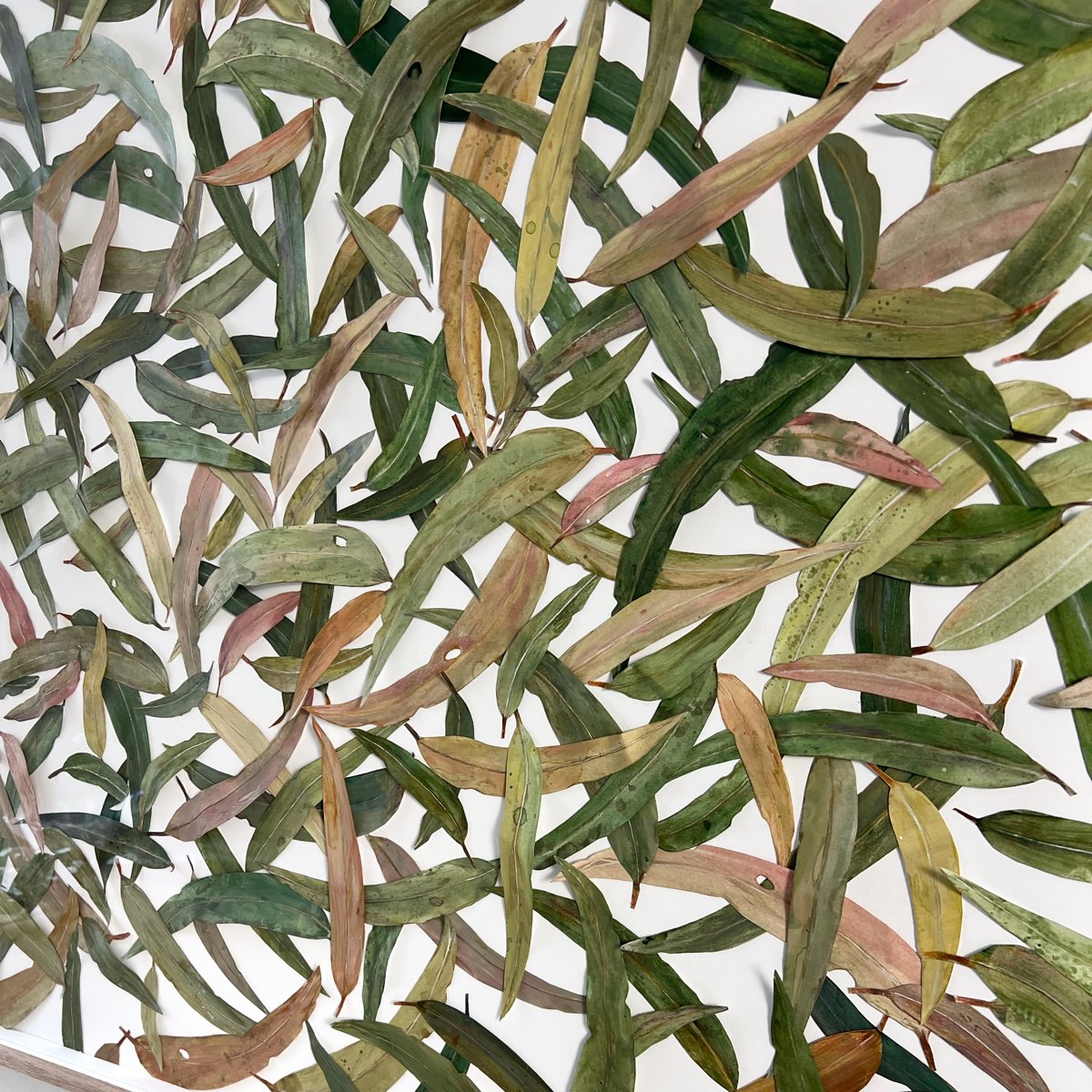 mondocherry paper artwork - "stringybark creek" - full