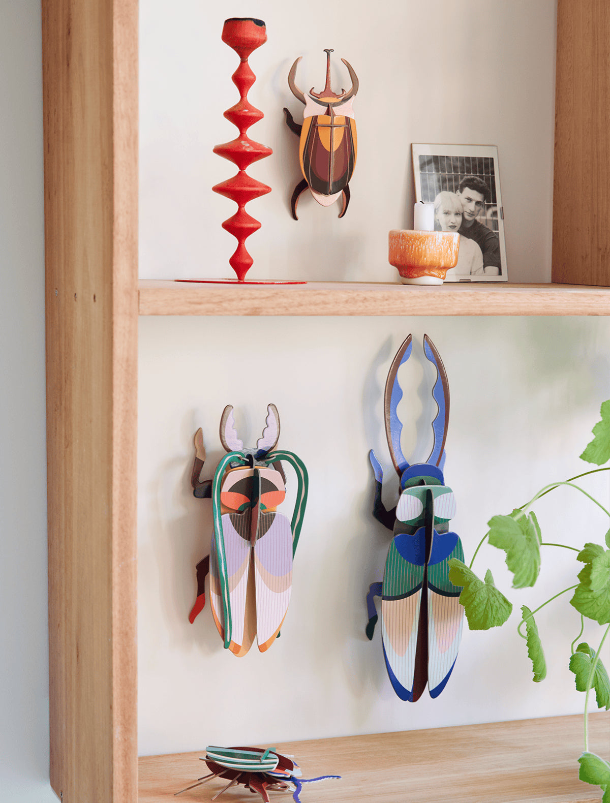 Studio Roof | elephant beetle wall decor - wall