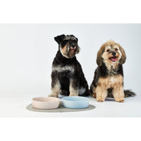 mondocherry - Lilly + Dash | ceramic dog bowl | pink - dogs