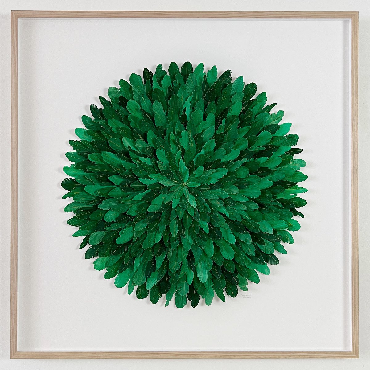 mondocherry - "green thorntail" | paper feather framed wall art - full