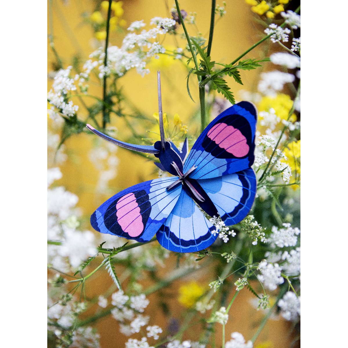 Studio Roof | peacock butterfly wall decor - flower