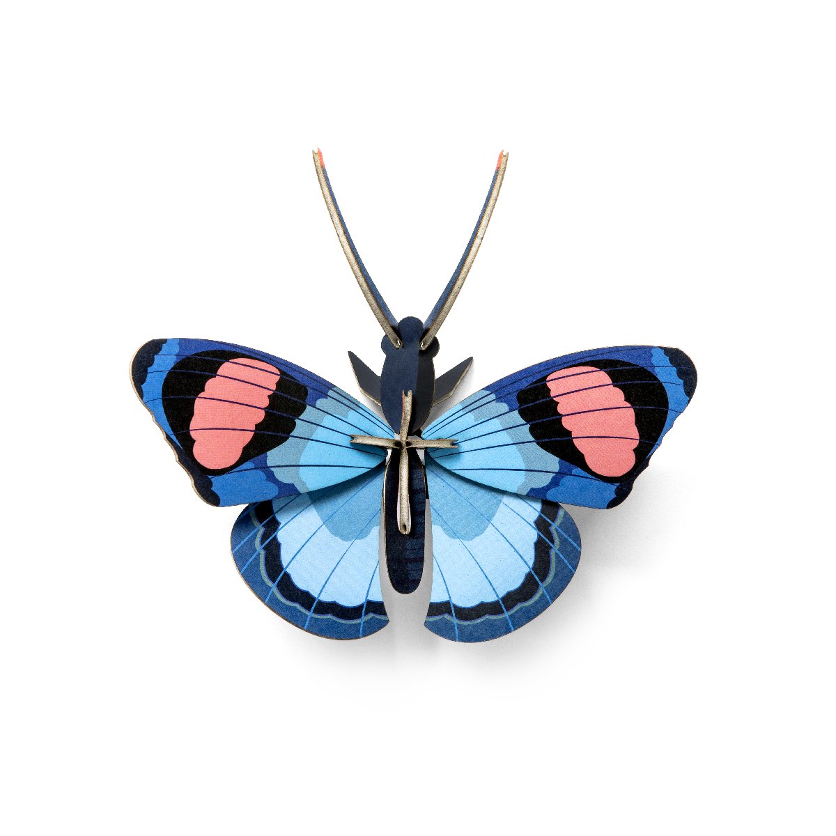 Studio Roof | peacock butterfly wall decor