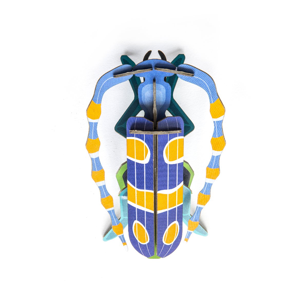 Studio Roof | rosalia beetle wall decor