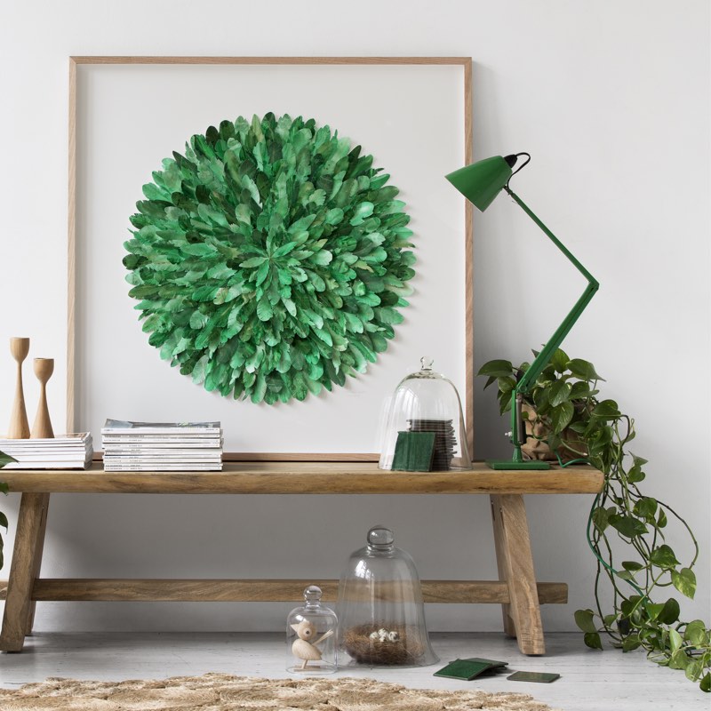 3 indoor plants we find hard to kill