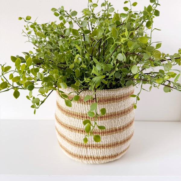 mondocherry - African fine weave basket with plant