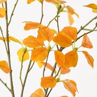 Floral Interiors | enkianthus leaf spray | yellow