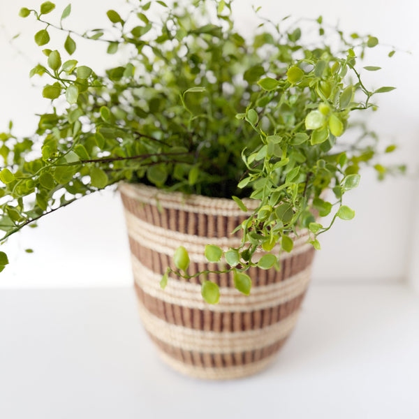 mondocherry - African fine weave basket with plant