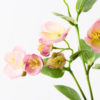 Floral Interiors | artificial hellebore spray | pink