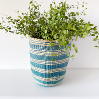 mondocherry - African fine weave basket with plant