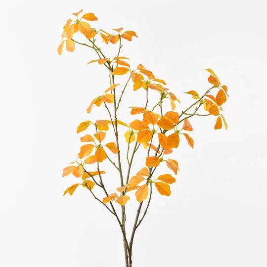 Floral Interiors | enkianthus leaf spray | yellow