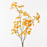 Floral Interiors | enkianthus leaf spray | yellow