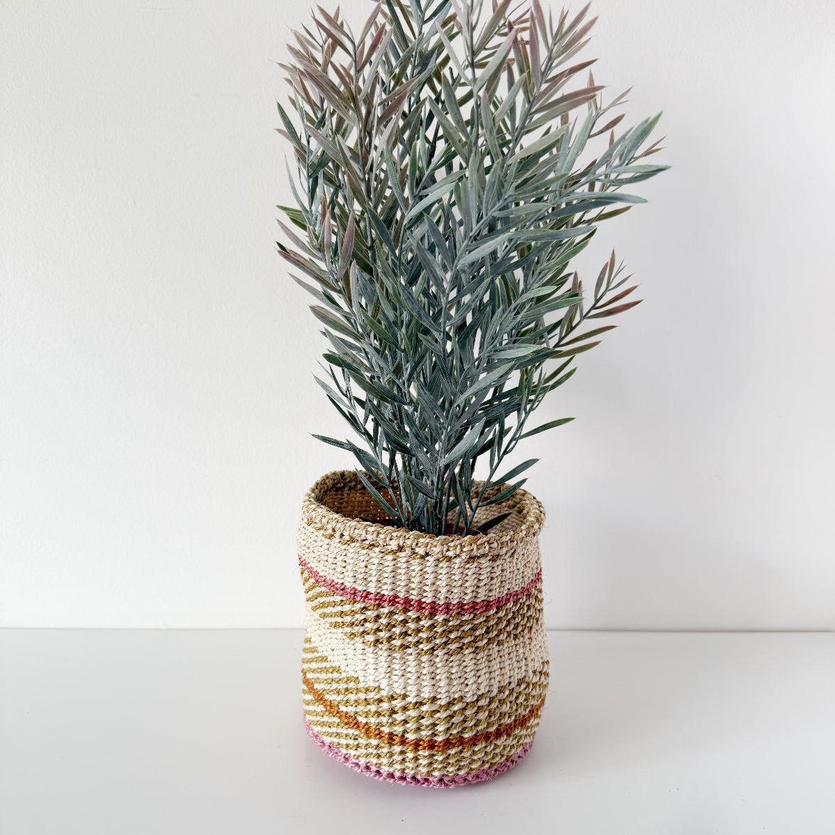 mondocherry - African fine weave basket with plant