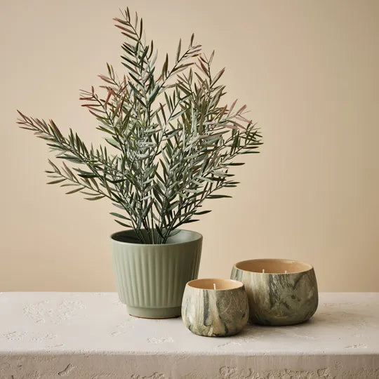 Floral Interiors | Acacia leaf in pot | grey pink