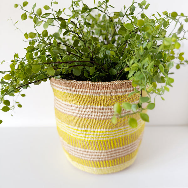 mondocherry - African fine weave basket with plant