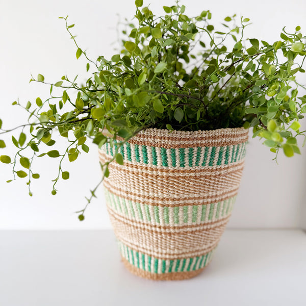 mondocherry - African fine weave basket with plant
