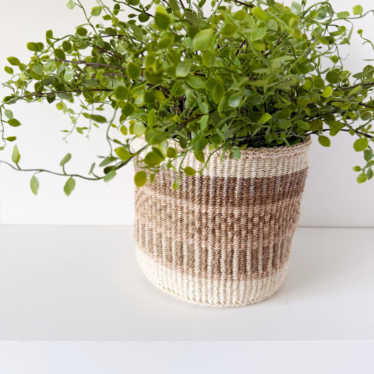mondocherry - African fine weave basket with plant