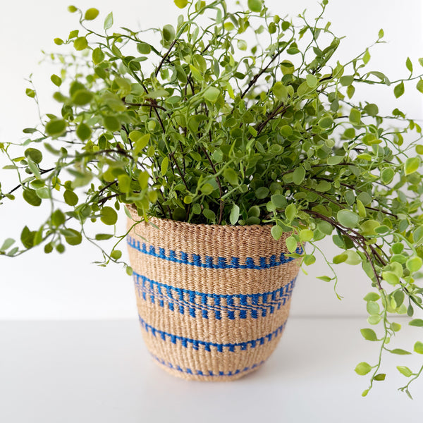 mondocherry - African fine weave basket with plant