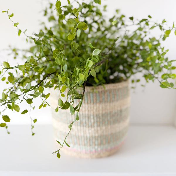 mondocherry - African fine weave basket with plant
