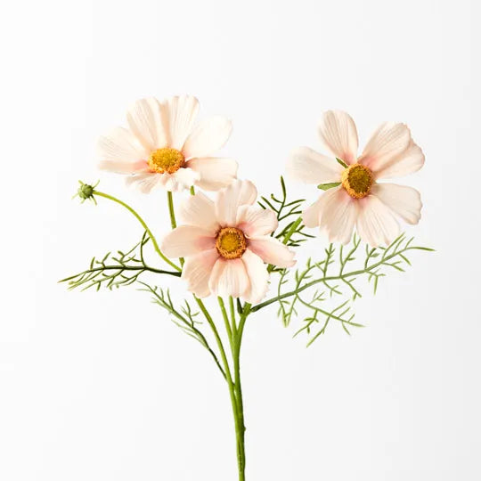 Floral Interiors | cosmos spray | apricot cream