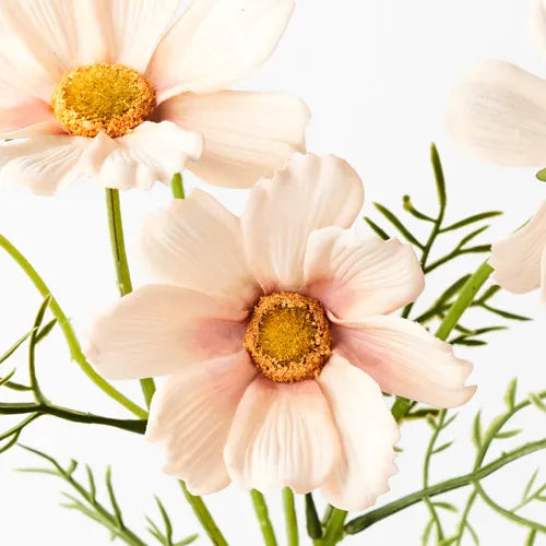 Floral Interiors | cosmos spray | apricot cream