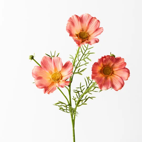 Floral Interiors | cosmos spray | orange