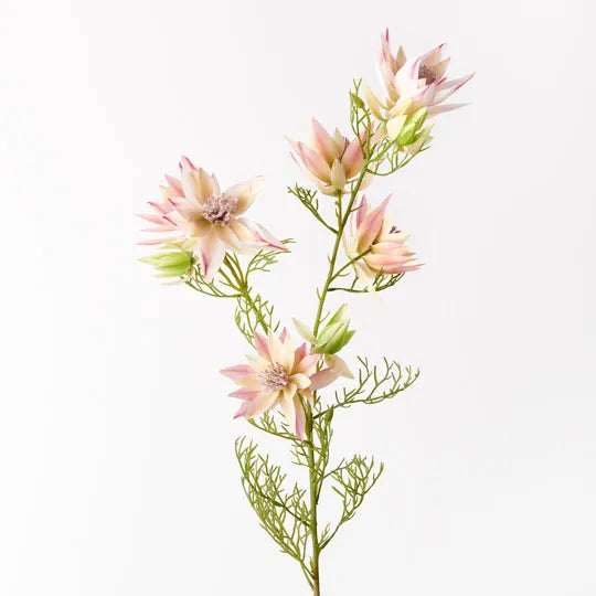 Floral Interiors | blushing bride spray | pink cream