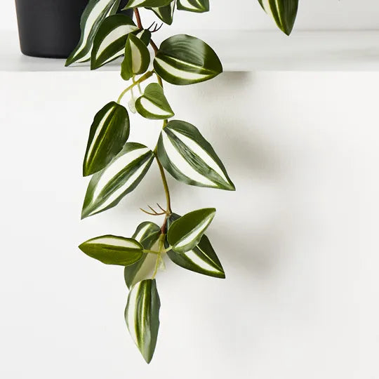 Floral Interiors | artificial wandering jew hanging bush in pot | green and white