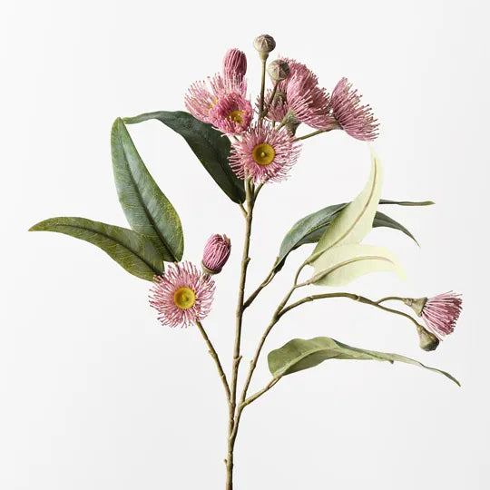 Floral Interiors | eucalyptus flowering spray | light pink
